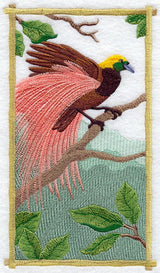 Raggiana Bird of Paradise Panel