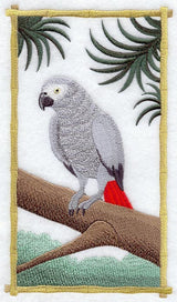 African Grey Panel