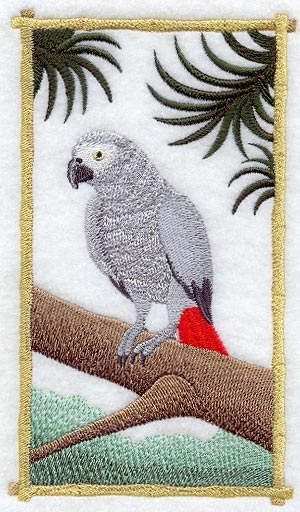 African Grey Panel