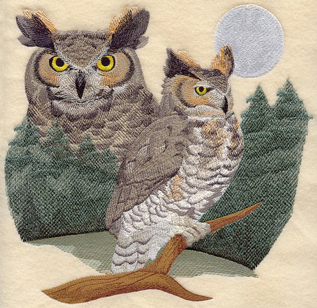 Great Horned Owl Scene