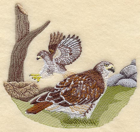 Red-Tailed Hawk Scene