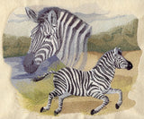 Spirit of the Zebra