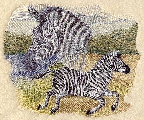 Spirit of the Zebra