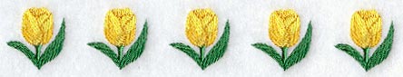 Tulip Border