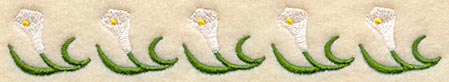 Calla Lily Border