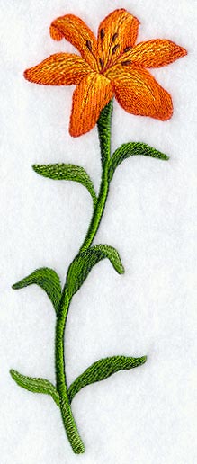 Long-Stemmed Tiger Lily