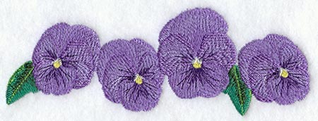 Pansy Border