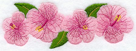 Hibiscus Border