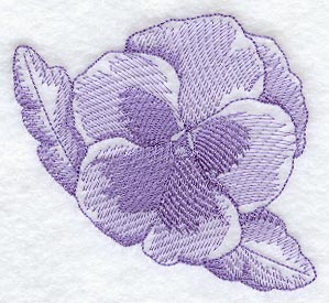 Pansy (Toile)