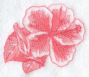 Hibiscus (Toile)