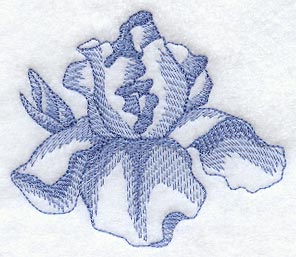 Iris (Toile)