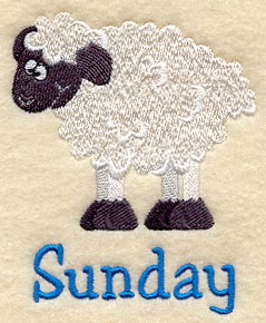 Sunday Sheep