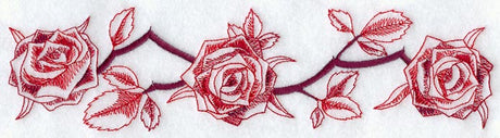 Rose Border