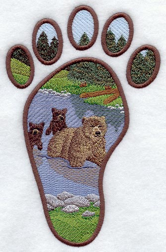 Grizzly Bear Track Scene