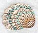 Seashell 1 (Miniature)