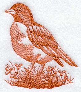 Robin (Toile)