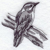 Downy Woodpecker (Toile)