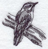 Downy Woodpecker (Toile)