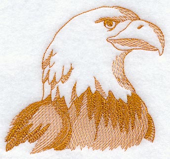 Eagle Head (Toile)