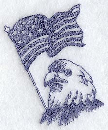 Eagle Head and US Flag (Toile)