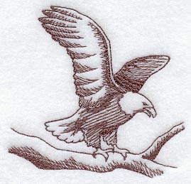 Eagle Landing (Toile)