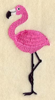 Flamingo (Fringe)