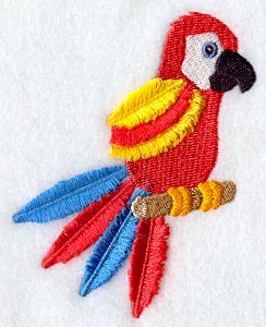 Macaw (Fringe)