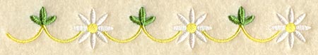 Daisy Border