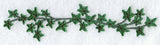 Ivy Border
