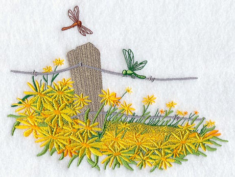 Summertime Dragonflies