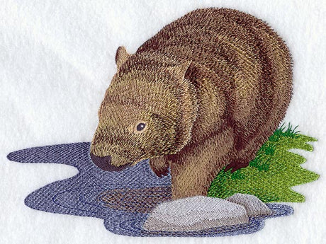 Wombat