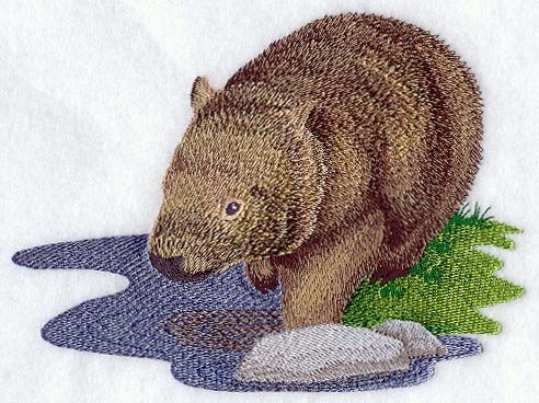 Wombat