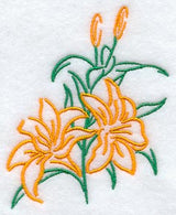 Blooming Tiger Lilies