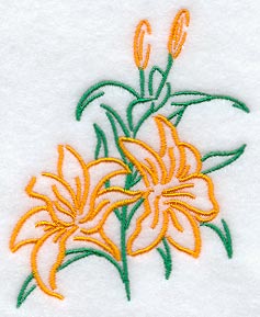 Blooming Tiger Lilies