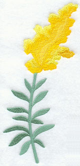 Goldenrod (Long-Stemmed)