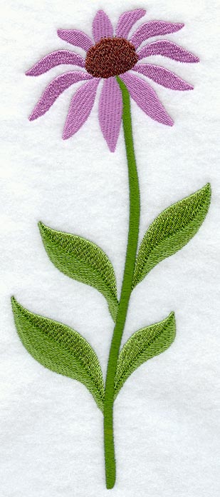 Coneflower (Long-Stemmed)