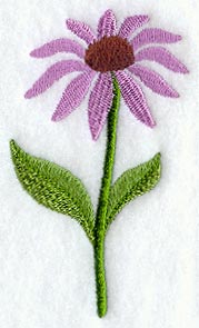 Coneflower