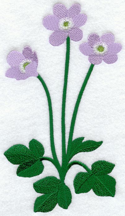 Hepatica (Long-Stemmed)
