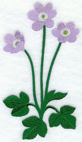 Hepatica (Long-Stemmed)