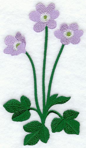 Hepatica (Long-Stemmed)