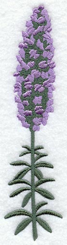 Lupine (Long-Stemmed)