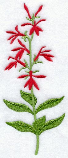 Cardinal Flower (Long-Stemmed)