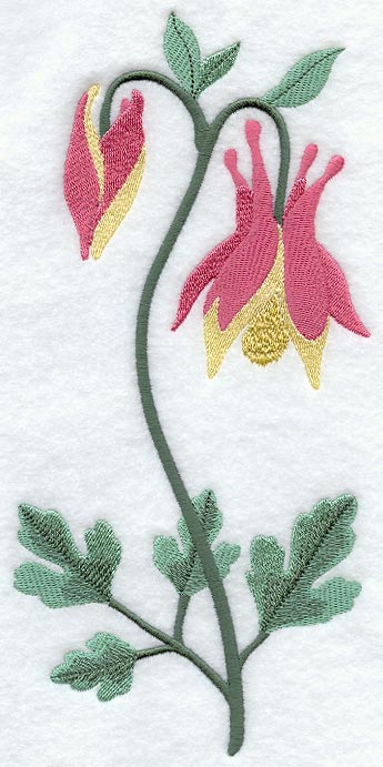 Columbine (Long-Stemmed)