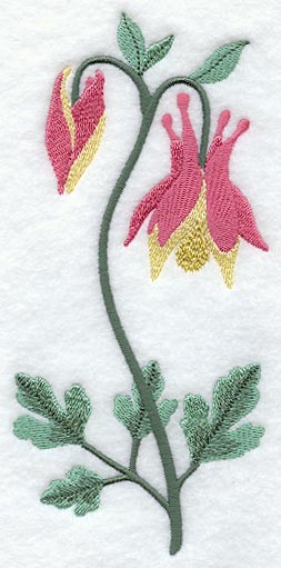 Columbine (Long-Stemmed)