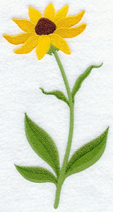 Black-Eyed Susan (Long-Stemmed)