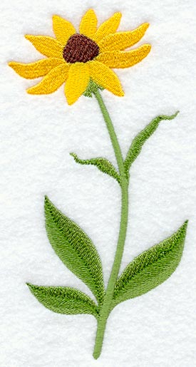 Black-Eyed Susan (Long-Stemmed)