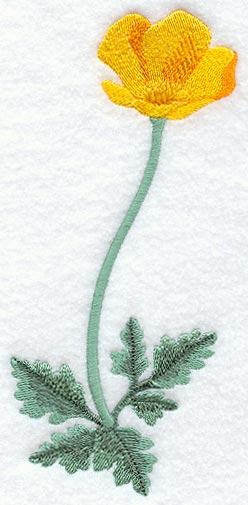 California Poppy (Long-Stemmed)