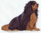 Cavalier King Charles Spaniel