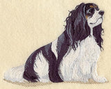 Cavalier King Charles Spaniel