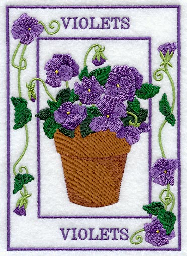 Potted Violets Medley